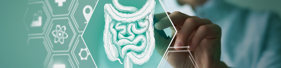 The Importance of Colon Cancer Screenings